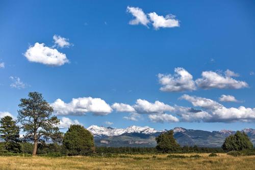 Semi-Private Mancos Cabin on 80 Acres with Mtn View!