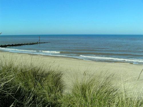 Seals Bacton - image 6