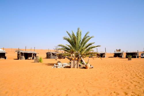 . Nomadic Desert Camp