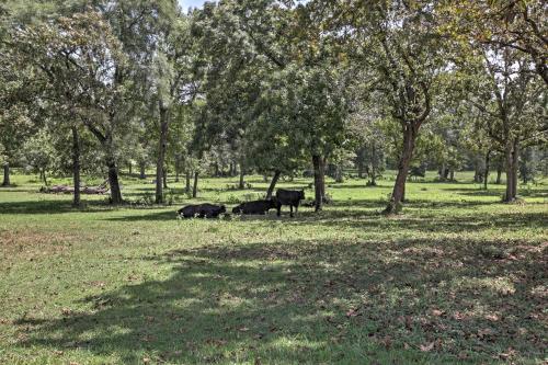 Plantersville Cabin - Near Renaissance Festival! - image 4