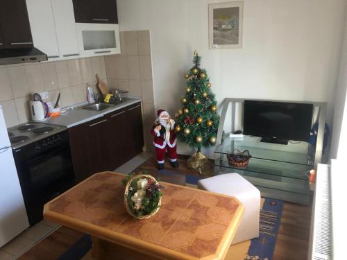 Apartman Vesna