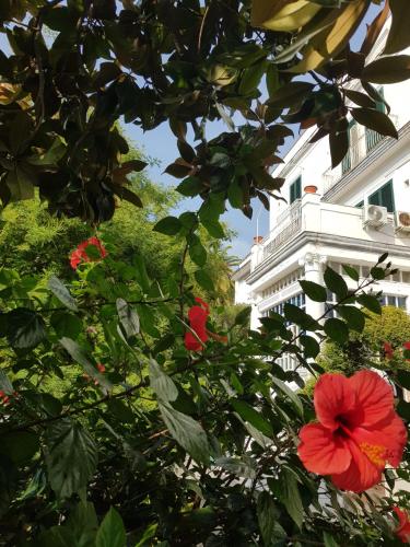 Albergo Santa Teresa – Torre del Greco, NY