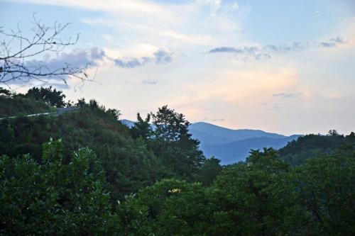 Green Shadows Scenic Whittier Condo with Fireplace!