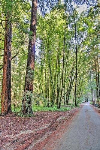 Quiet Cottage with Redwood Forest Views and Deck!