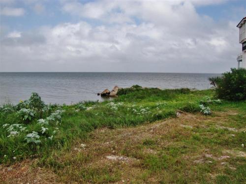 Quiet Port OConnor House - Perfect for Fishing! - image 4