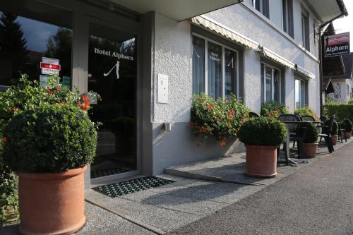 Hotel Alphorn - image 12