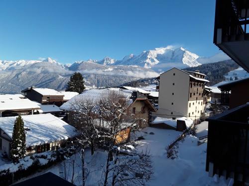 Vue Mont Blanc et toute la chaîne - Apartment - Combloux