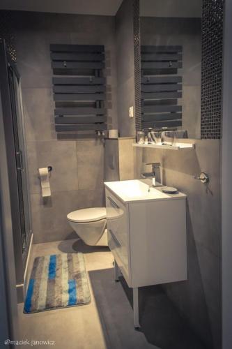 Apart-Invest Apartament Wiwi, Szklarska Poręba (foto 9)