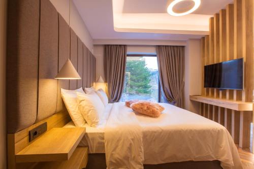 Adryades Luxury Apartments - Metsovon