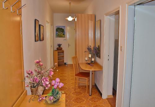 Apartman Balen J.