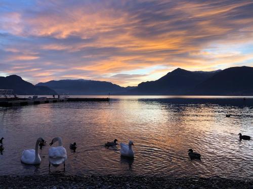 Bellavista Giulia on Lake Como - image 5