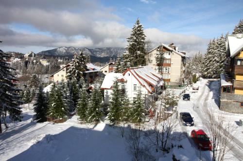 Sunny Apartment in Predeal