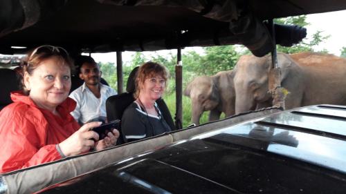 Tusker's Paradise Safari Villa