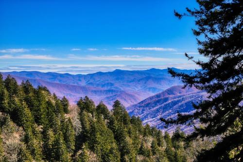 Mountain Symphony - image 8