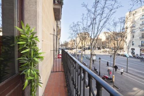 Paseo de Gracia Apartments - image 5
