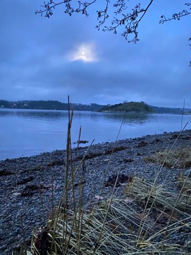 Cottage - Majviken