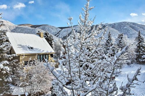 Avon Condo - Mtn Views Beaver Creek Shuttle! - image 3