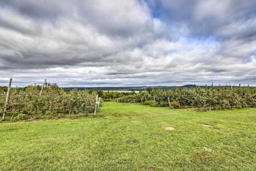 Cozy Home with Vineyard Working Farm and Fall Foliage - image 7