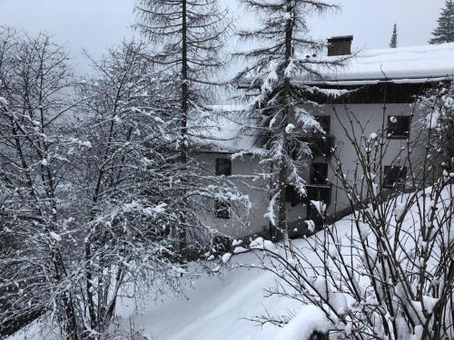 Chalet Elfie - image 11