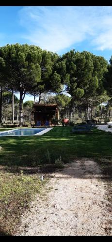 Ying Yang Monte da Lua