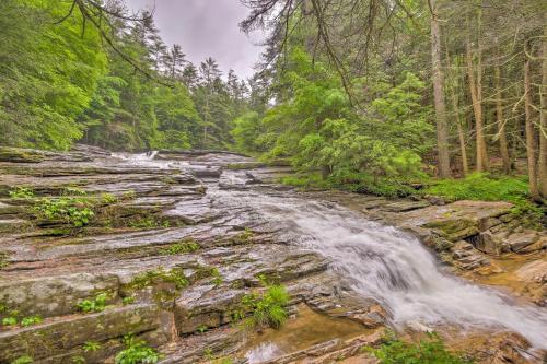 The Mill River Cabin with Fireplace and River View! - image 5