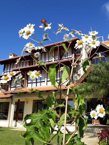 Ilha da Galé Tourist Hotel Fazenda de Bombas