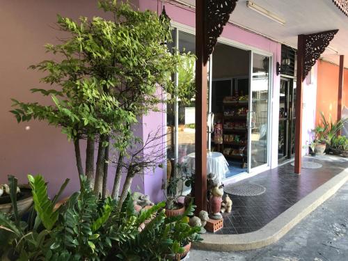 Apinya Court – Chiang Mai, IA