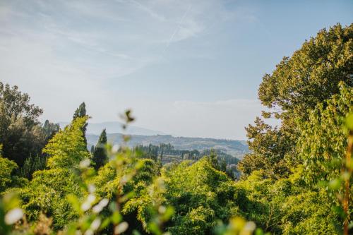 Borgo Bucciano - image 12