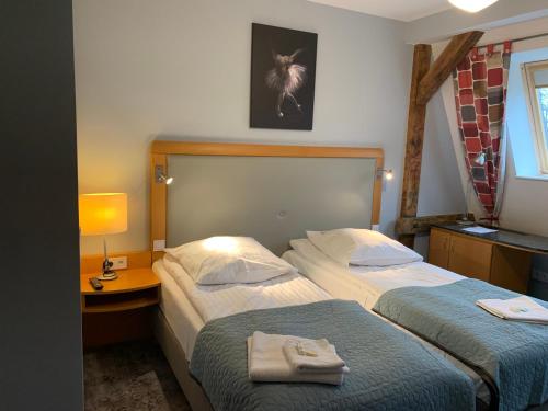 Hotel Willa Starosty, Międzyrzecz (photo 8)