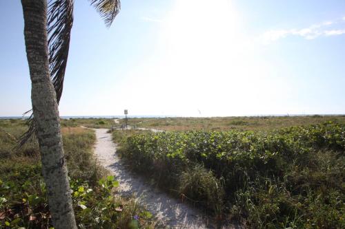 Tropical Winds Beachfront Motel and Cottages - image 10