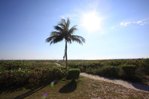 Tropical Winds Beachfront Motel and Cottages - image 11