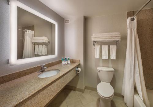 Holiday Inn Express Hotel & Suites Carson City an IHG Hotel - image 2