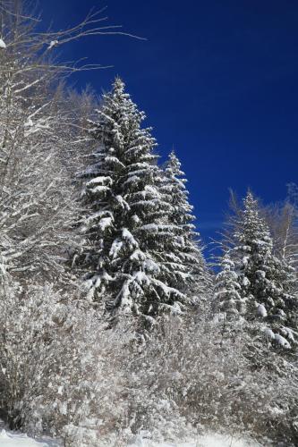 le refuge des Marmottes