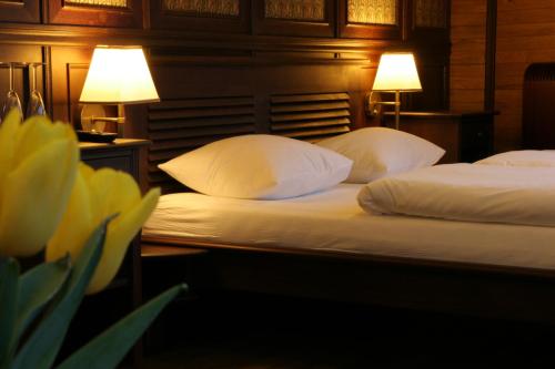Boat Hotel Matylda, Praga (foto 10)