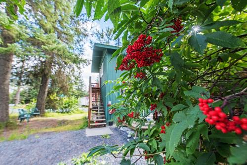 Seward Studio with Deck, Outdoor Dining and Mtn Views!