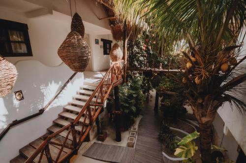 ทัศนียภาพภายนอกโรงแรม, 40 Canones in มาอาอูอัล