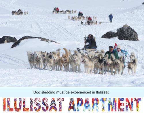 Ilulissat Apartment in Ilulissat