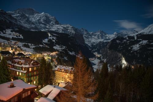 Hotel Alpenruhe - Vintage Design Hotel - image 2