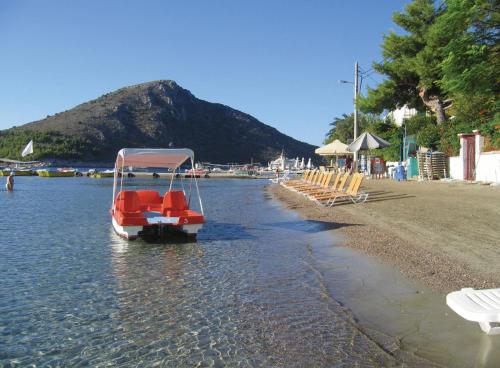 Dolfin - image 10