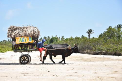 Pousada Velho Bateau