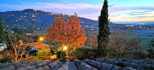 Margherita Holiday Home