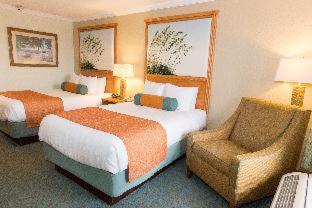 Room #30577521 image 2