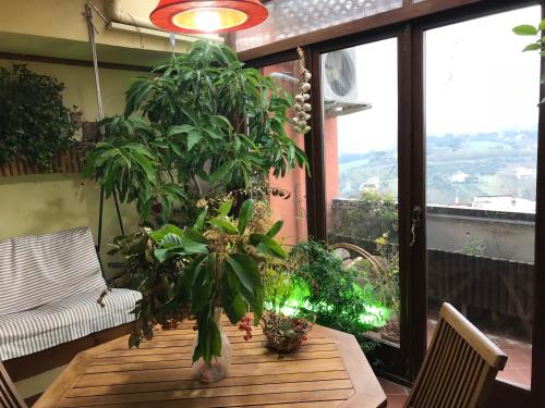  Sole e fiori, Unterkunft in Benevento