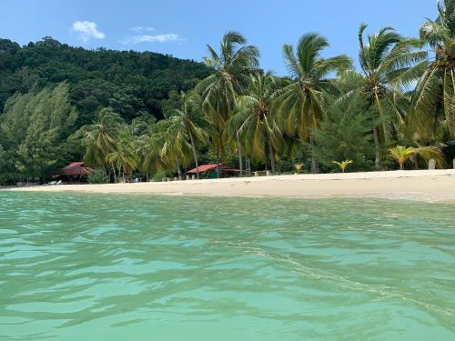 Wild Pasir Panjang in Pulau Tuba