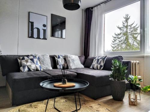 Stylový apartmán přímo u lanovky, vlastní garážové stání - Apartment - Janské Lázne