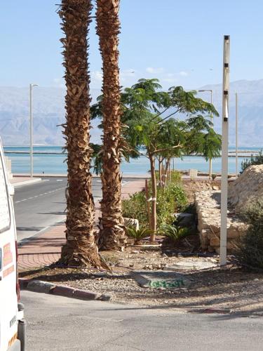 Adam s apartments entrance to Neve Zohar