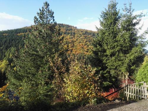 Ferienwohnung Waldblick Winterberg 1.4km von Am Eschenberg entfernt