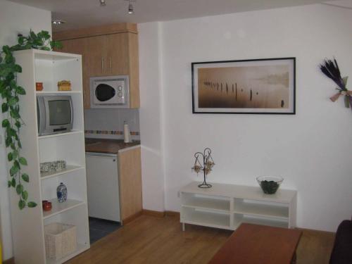 Apartamento en pistas de esquí - Apartment - Candanchú