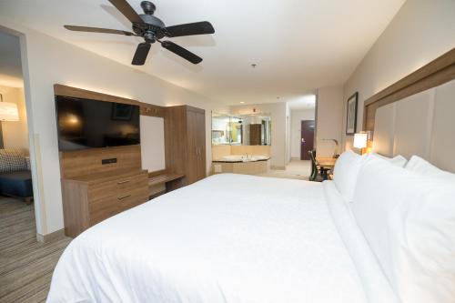 Holiday Inn Express Hotel & Suites Clinton By IHG in Clinton (Mississippi)