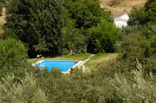 El Molino de las Palomas - image 9